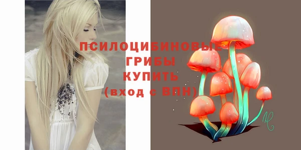 спиды Алзамай