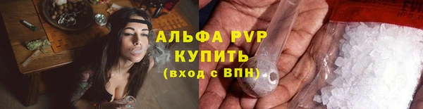 спиды Алзамай
