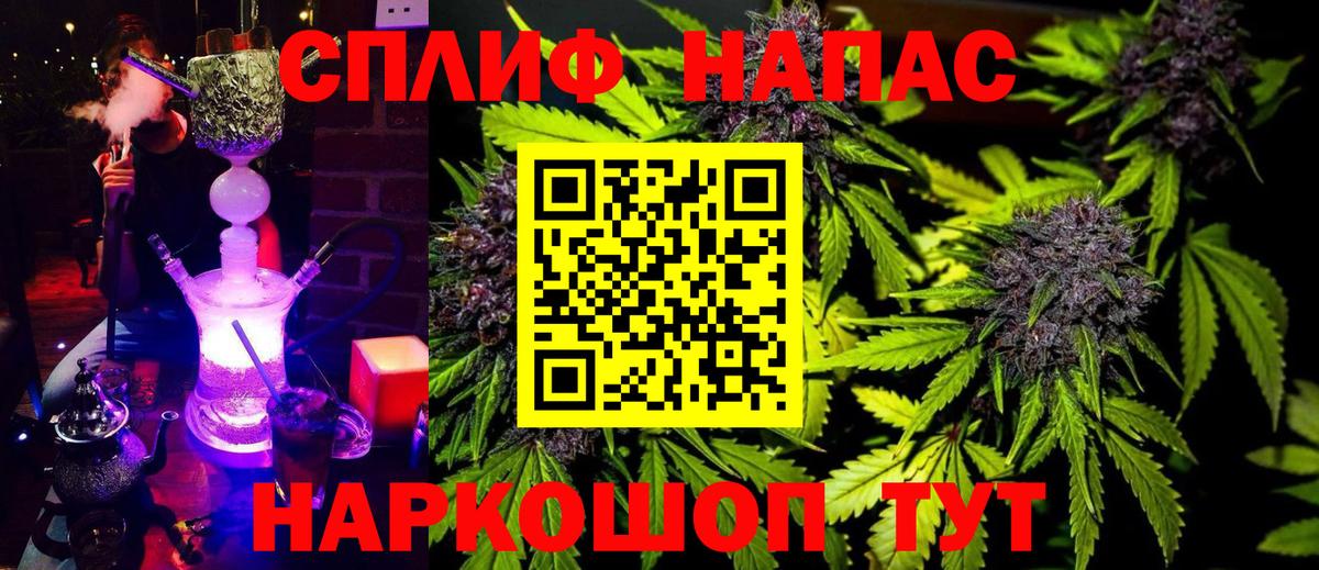 Марихуана планчик  Вход с VPN  Карачаевск  МАРИХУАНА сатива 